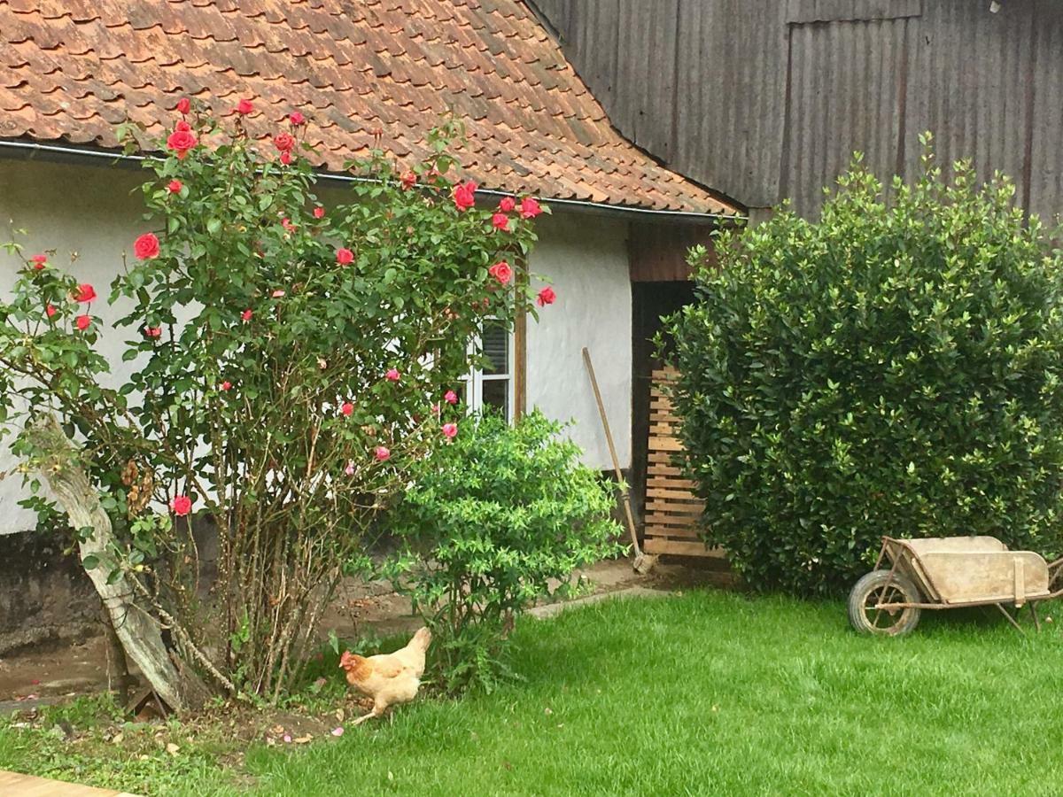 La Fermette De Jules Guest House Fressin Exterior photo